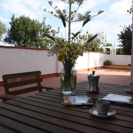 Apartment Parco Del Pizzo_fico D'india